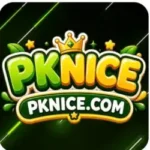 Featured image for the Pknice game guide